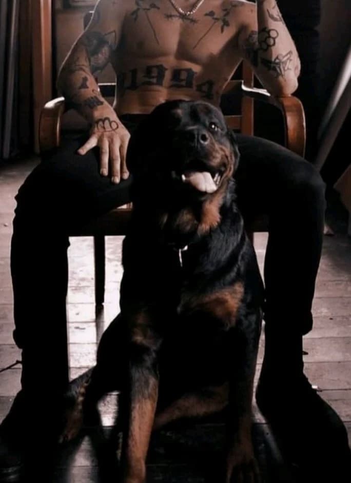 Liam The  Mafia Boss thumbnail