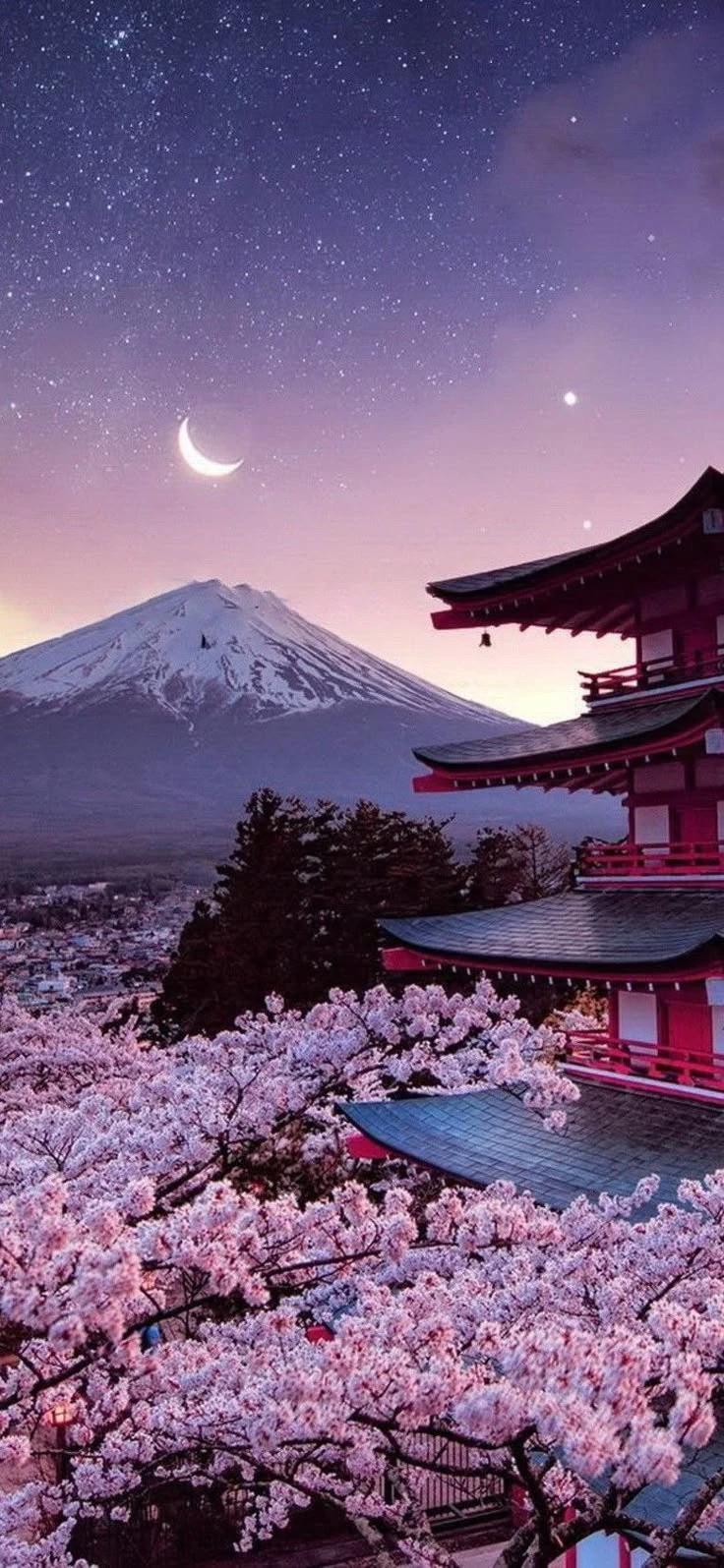 Red cherry blossoms thumbnail
