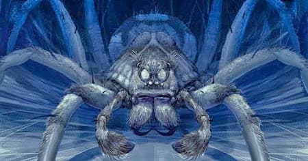 Huge monster White female spider thumbnail