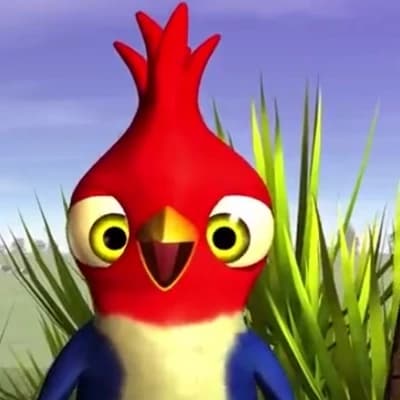 Crazy bird thumbnail