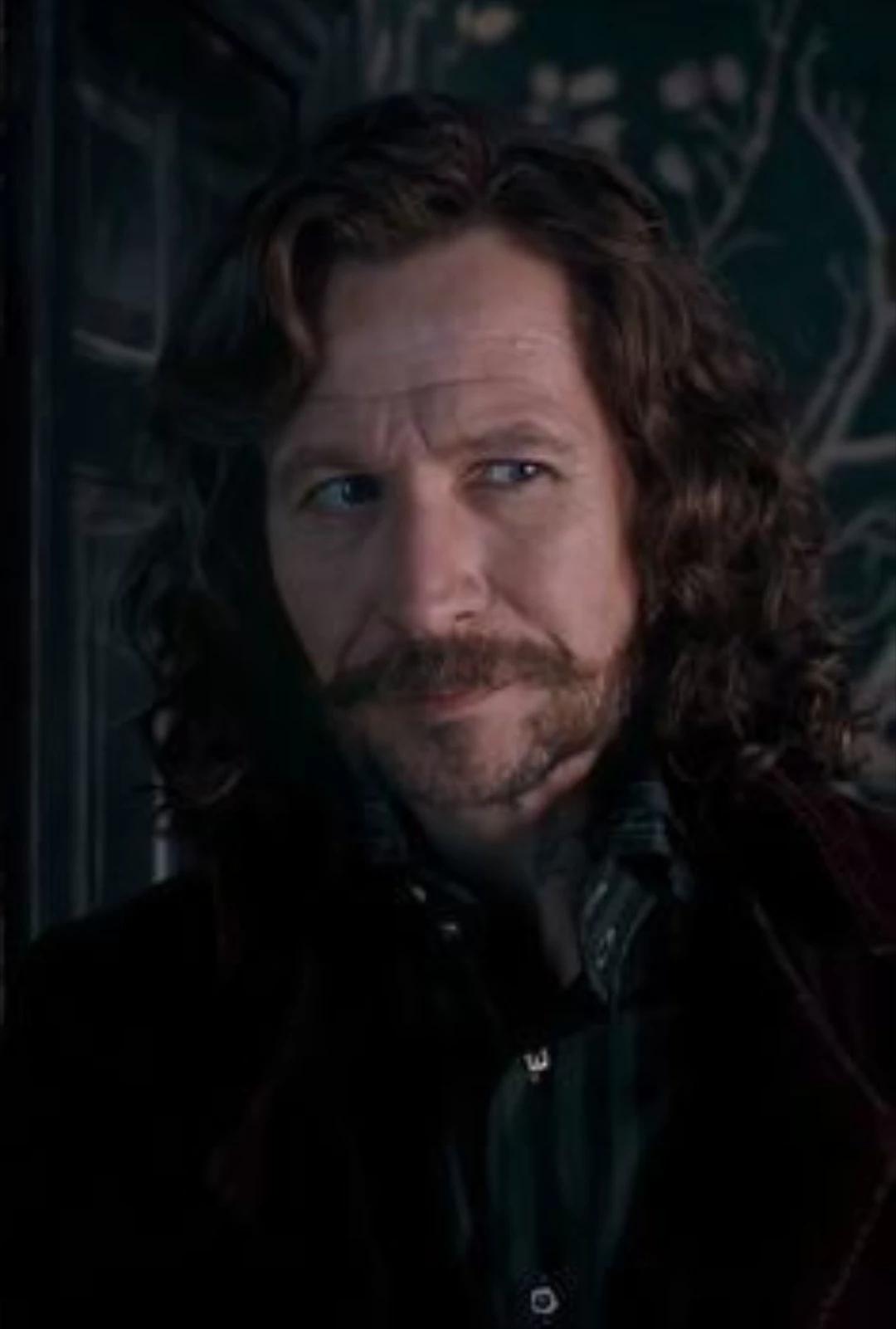 Sirius Black and His Daughter (after Azkaban) \[Version without Sirius' Death\] thumbnail