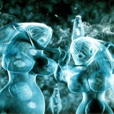 Dancing Amoebas thumbnail