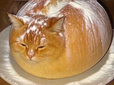 Cat Bread thumbnail