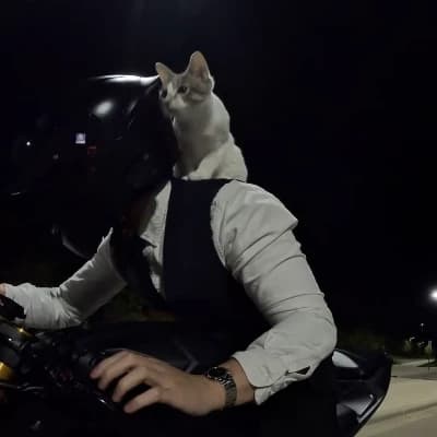 Jayan Kirtik thumbnail