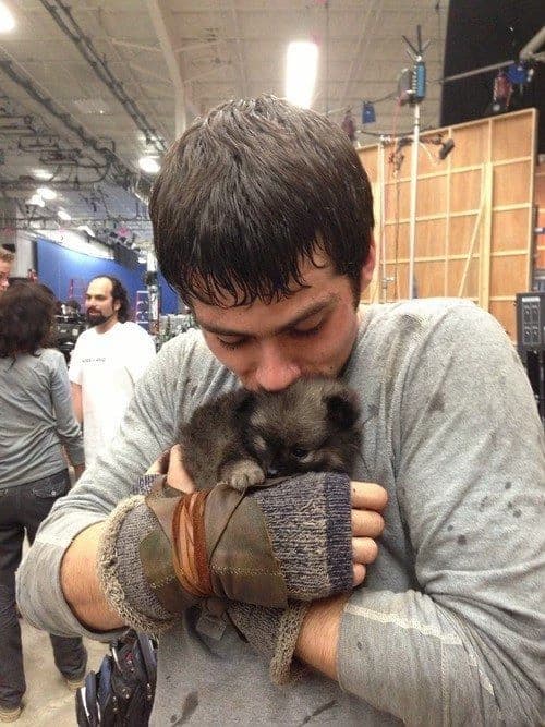 Dylan o'brien thumbnail
