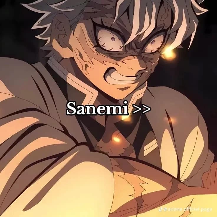 SANEMI Shinasuwaga thumbnail
