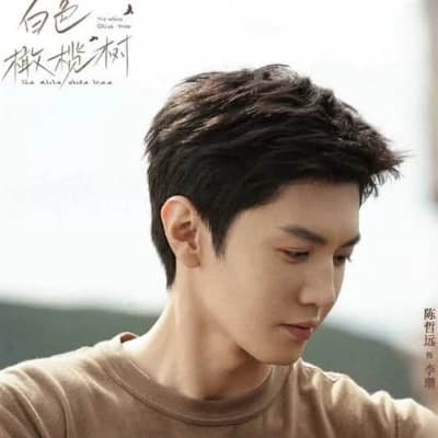 Chen Zheyuan Soldier thumbnail