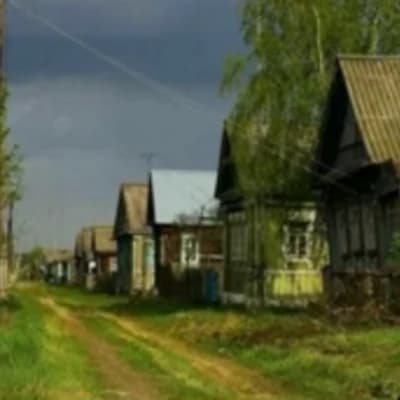 The village in the past thumbnail