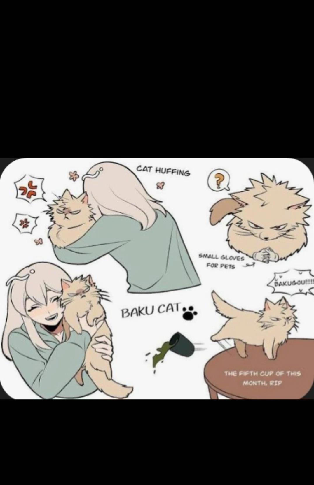 Bokugo katsuki thumbnail