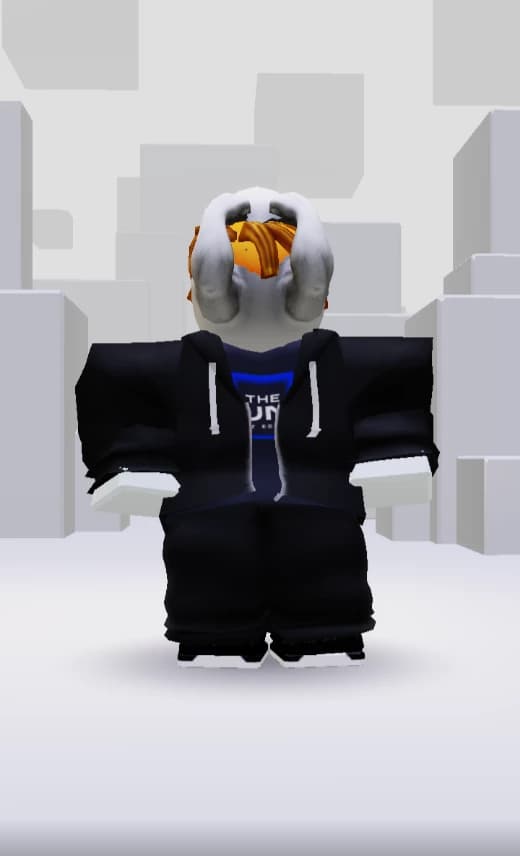 rfo\_benjamin3 thumbnail