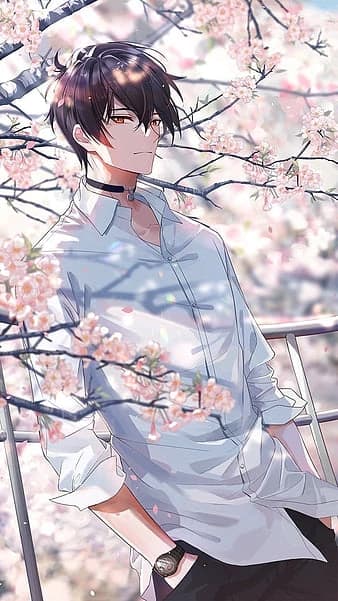  <\[DAVID, BL\]>  thumbnail