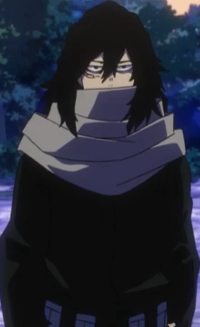Shota Aizawa (forest mission) thumbnail