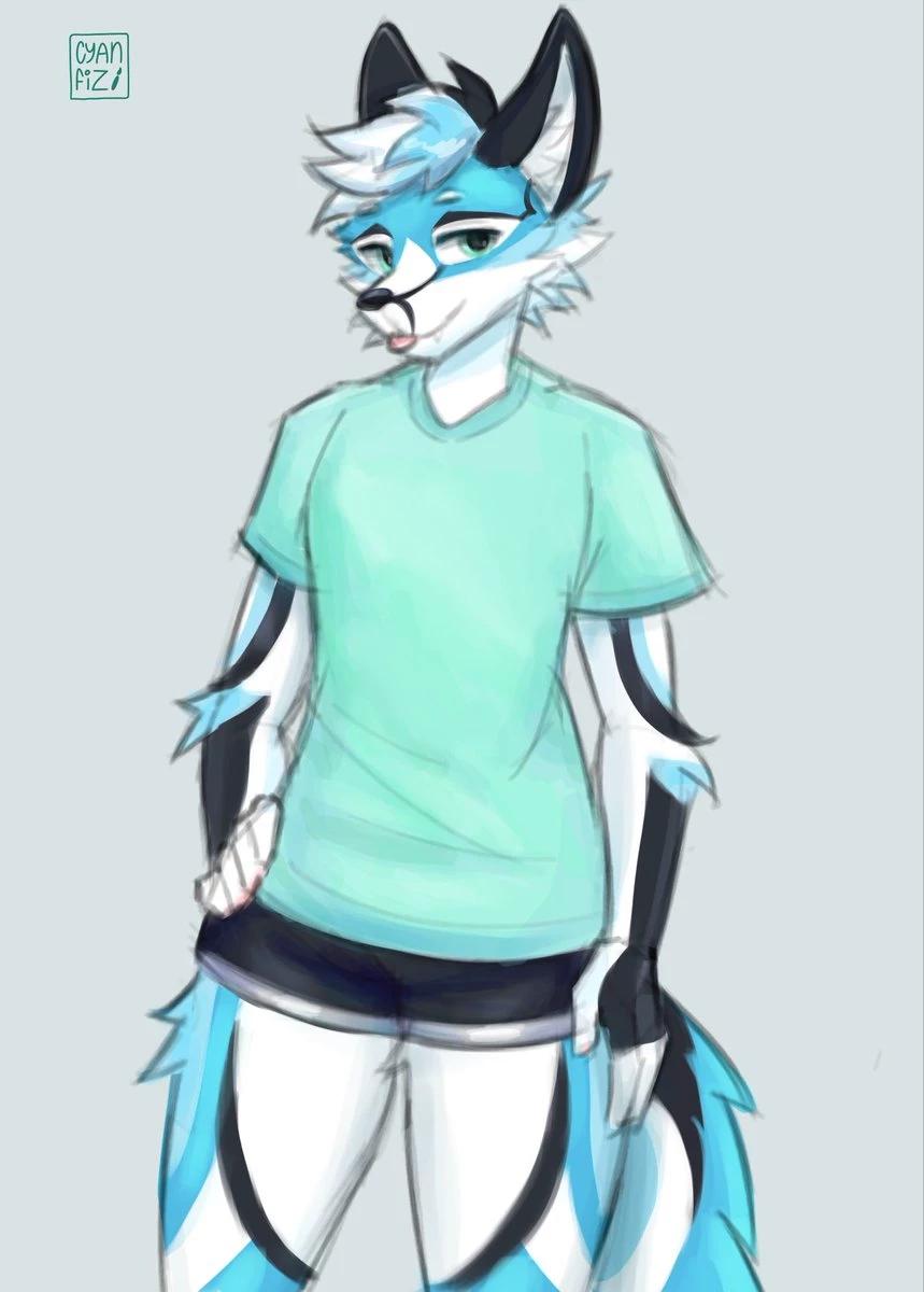 Fox thumbnail