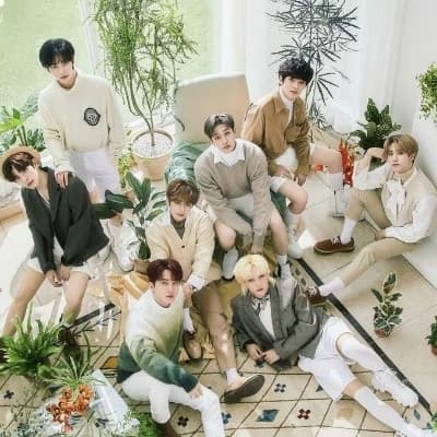 Because they will Stray kids thumbnail