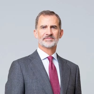 Felipe VI of Spain thumbnail