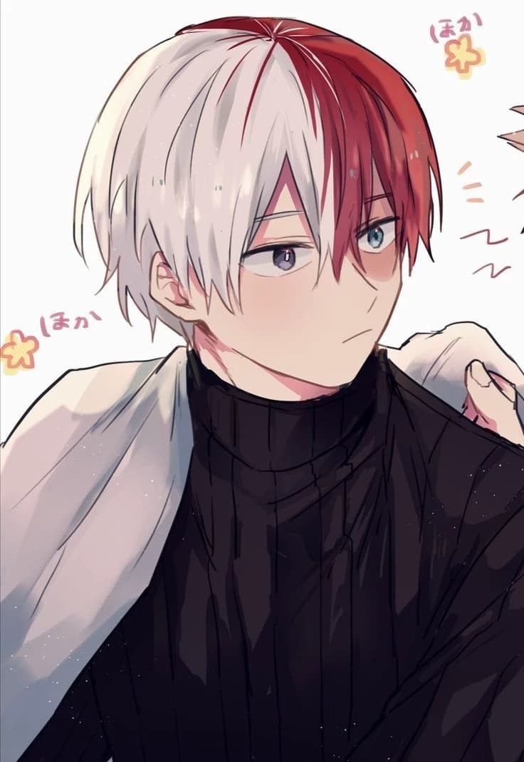 Shoto Todoroki  thumbnail