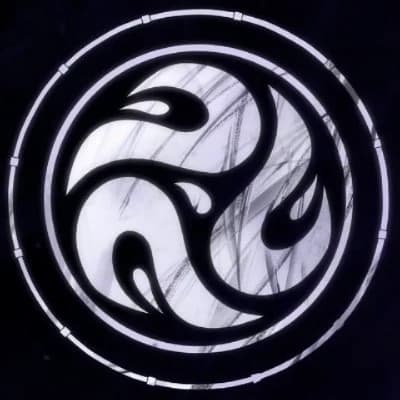 Organization of the Shadow Assassins thumbnail