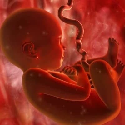You just got born into this worold thumbnail