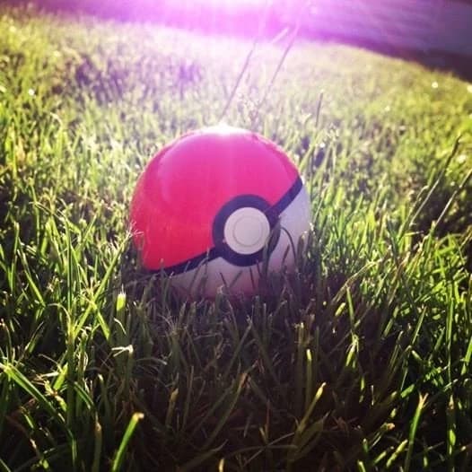 Poké park thumbnail