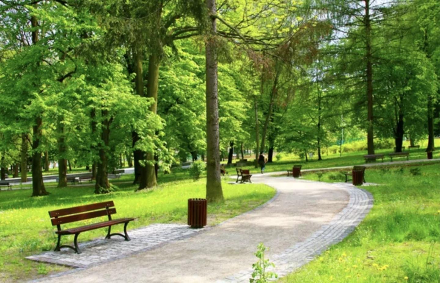In the park thumbnail