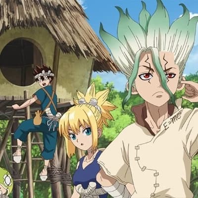 DR stone thumbnail