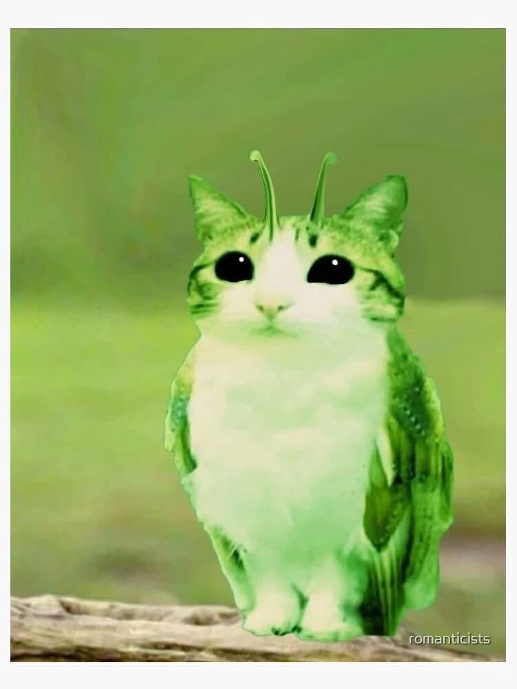 Alien Meowl thumbnail