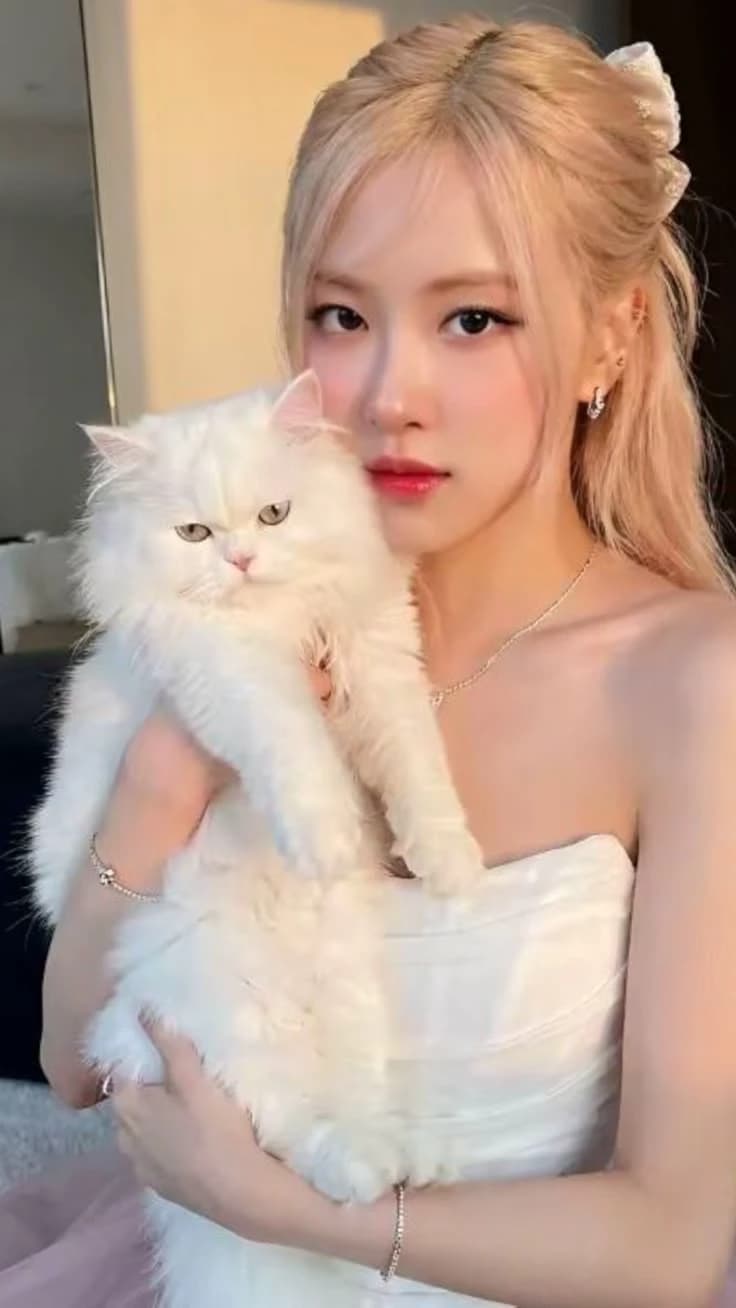 Rosé thumbnail