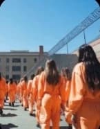 You are the only man in prison for women thumbnail