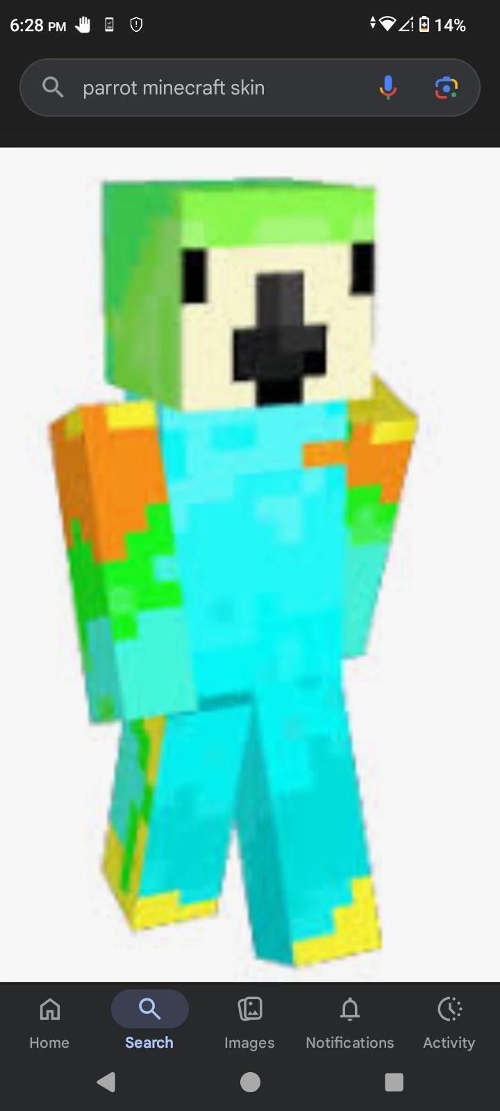 parrot  thumbnail