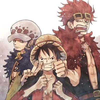 Law, Luffy and Kidd  thumbnail