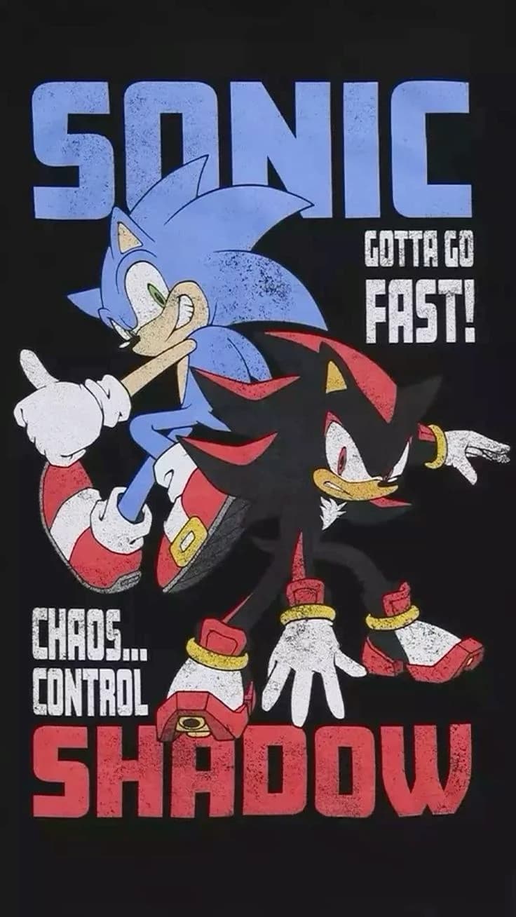 Team Sonic blames you thumbnail