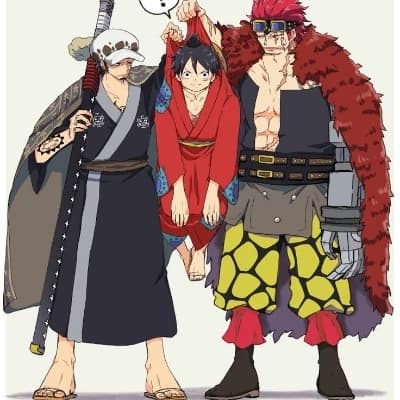 Kidd, Luffy and Law  thumbnail