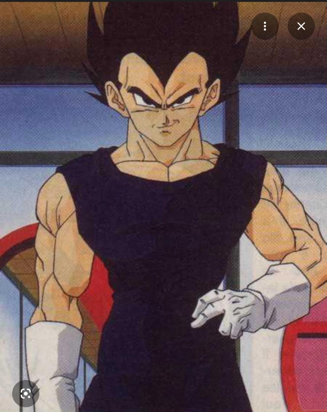 Vegeta the saiyan prince thumbnail