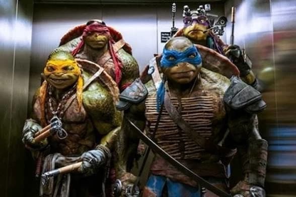 The Teenage Mutant Ninja Turtles thumbnail