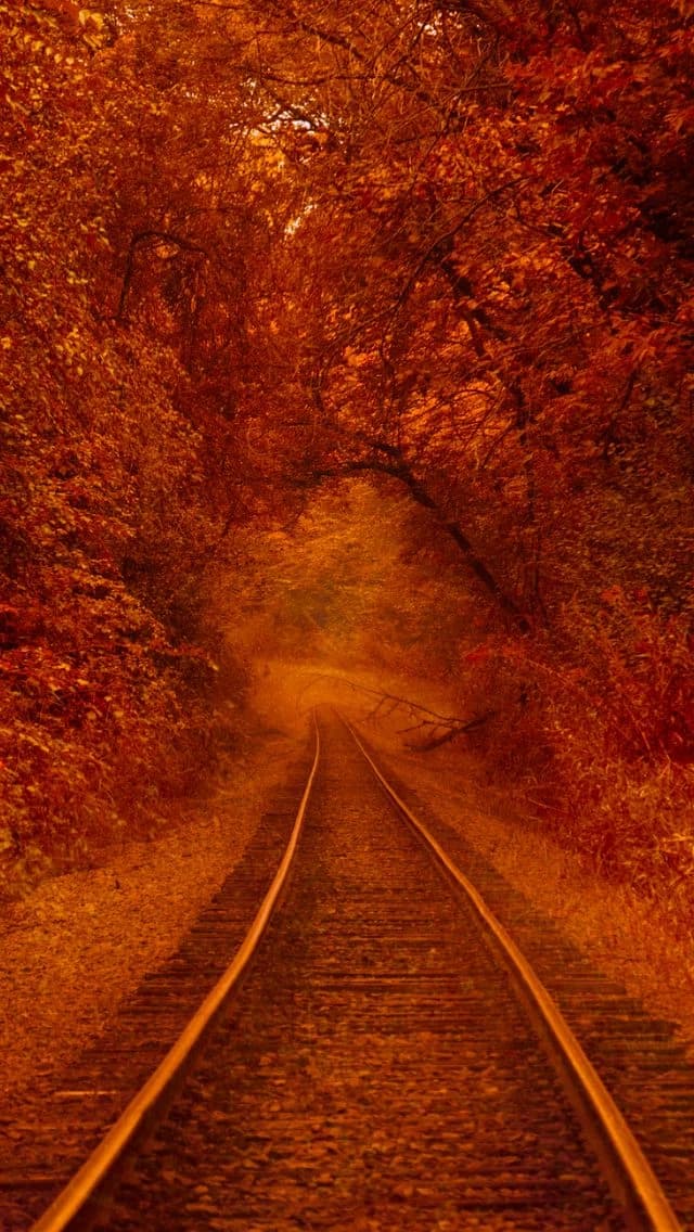 The Orange Railroads  thumbnail