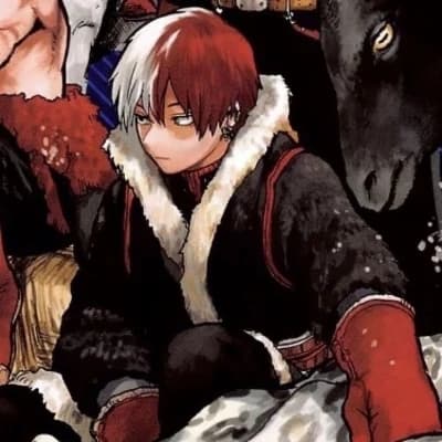 Shoto Todoroki thumbnail