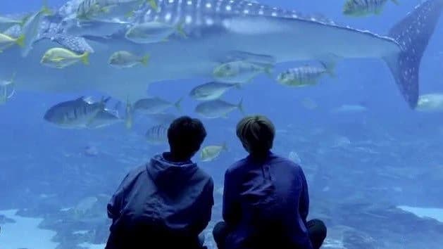 Jeongyu thumbnail