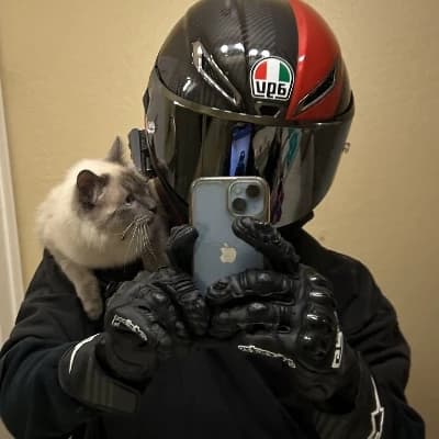 Bongo and his friends  thumbnail