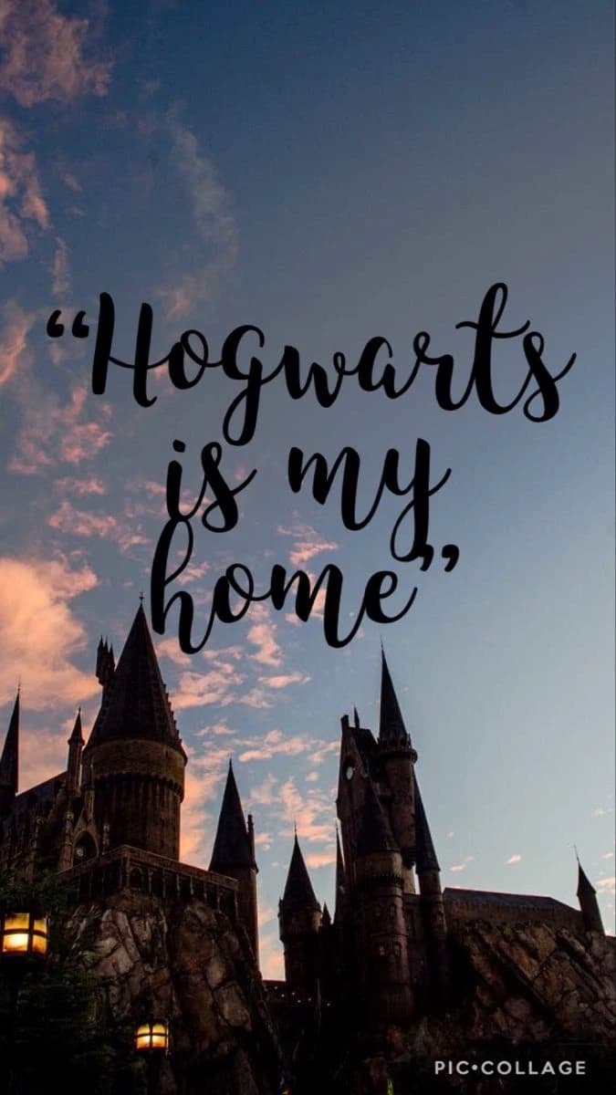 📚|1| Hogwarts, First Year thumbnail