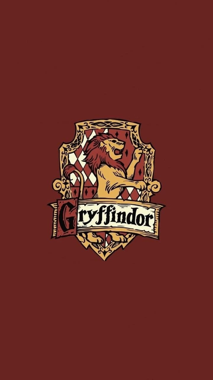 Gryffindor boys thumbnail