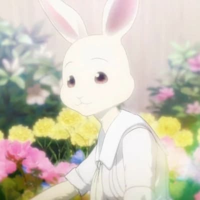 Haru—Beastars ♡ thumbnail