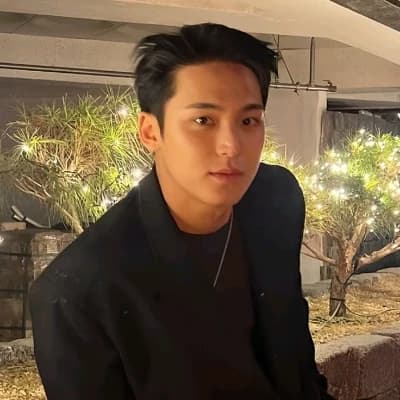 Kim Mingyu thumbnail
