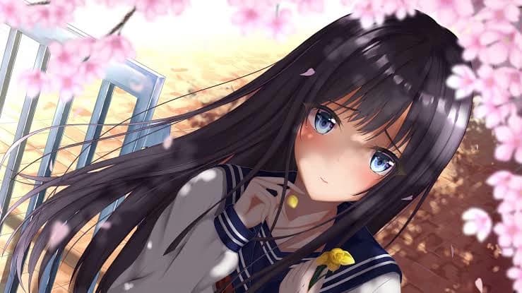 Bella thumbnail