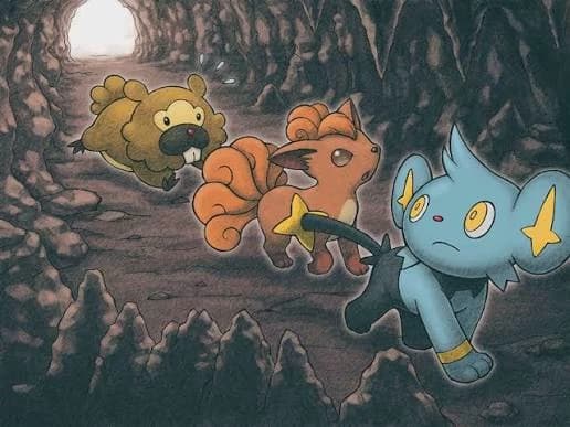 Horizons academy PMD thumbnail