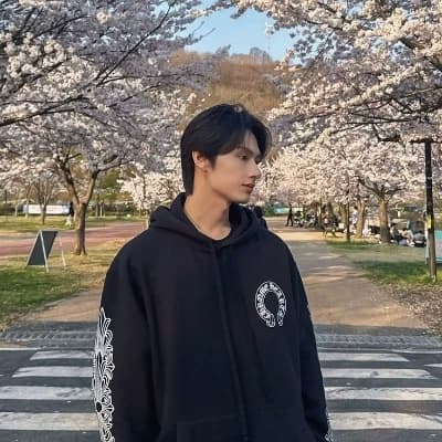 Wen Junhui (Jun) thumbnail