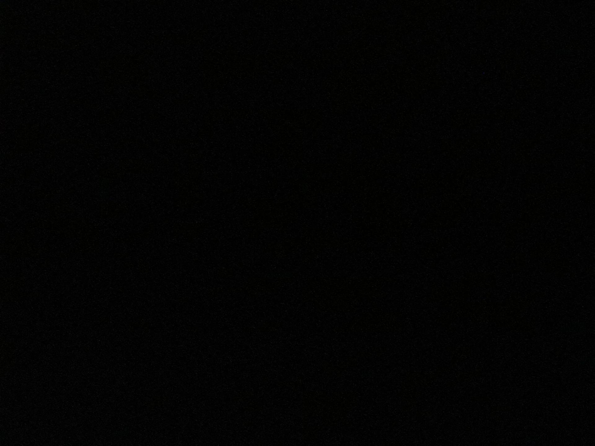 WINDBREAKER thumbnail