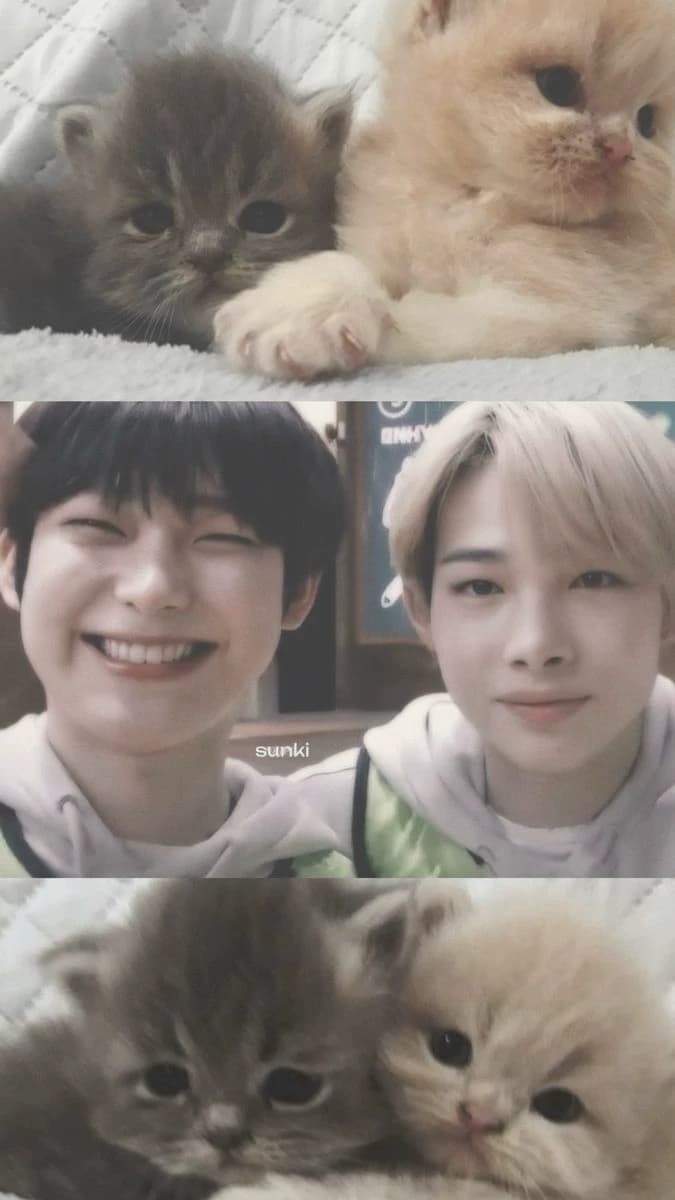 Heavy BL: thumbnail