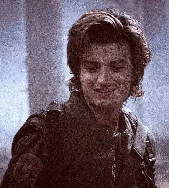Steve Harrington thumbnail