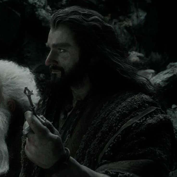 Thorin Oakenshield  thumbnail