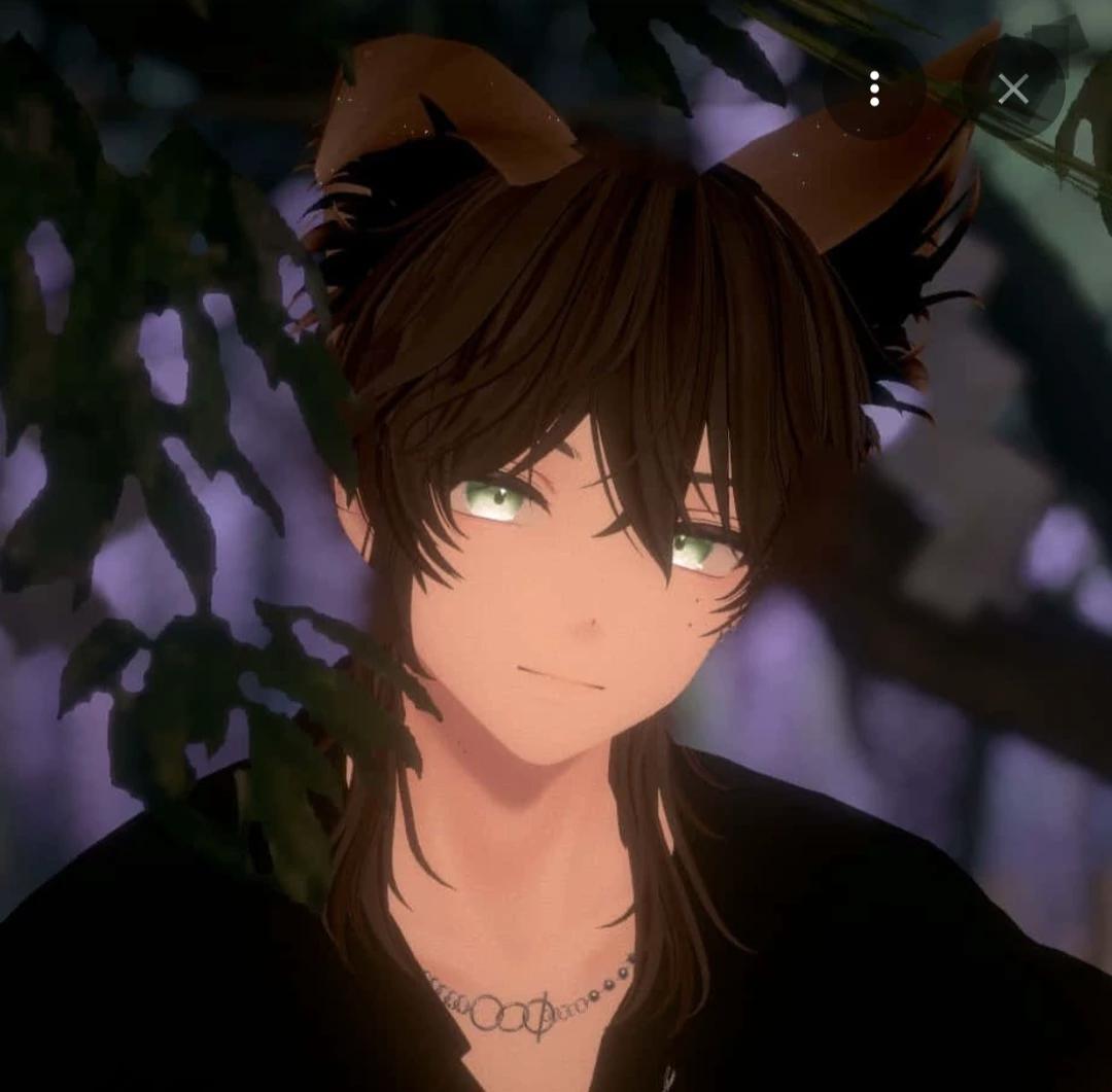 (.•♡`◇》Stray VS2《◇`♡•.) thumbnail